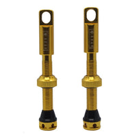 GOLD STZY Valves Tubeless Valve set with MK2 Top Cap with built in core remover 44-60mm